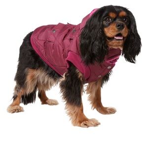 NEW Maroon Dog Jacket